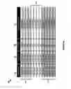 Fig. 08 - TELEPHONE NUMBER PROVISIONING USING LOCATION-BASED PARTITION KEYS