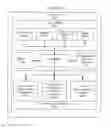 Fig. 09 - Methods to authorizing secondary user devices for network services and related user devices and back-end systems