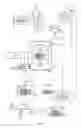 Fig. 02 - Method and Apparatus for Dynamic Image Content Manipulation