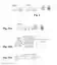 Fig. 02 - Blocking the acceptance or the processing of a packet for loading a profile into a eUICC