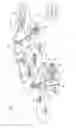 Fig. 02 - Methods for inter-system carrier aggregation in advanced wireless communication systems