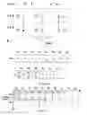 Fig. 04 - Method for assisting bidirectional communication in wireless networks