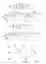 Fig. 28 - Method for assisting bidirectional communication in wireless networks