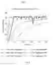 Fig. 06 - Short transmission time interval (TTI)