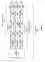 Fig. 04 - Multiband scheduling for wake up radio