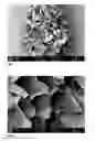Fig. 02 - Composition comprising an oil phase