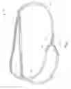 Fig. 02 - PALM BRACELET
