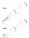 Fig. 04 - Stick-shaped cosmetic material dispensing container