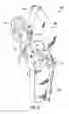 Fig. 06 - One-belt harness