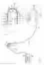 Fig. 02 - Flexible tube insertion apparatus