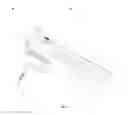 Fig. 02 - Endoscope