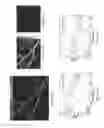 Fig. 06 - System and method for providing multi-wavelength laser for fast functional photoacoustic microscopy