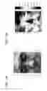 Fig. 02 - Evaluation device, market research device, and learning evaluation device