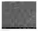 Fig. 01 - Chip for detecting allergy, manufacturing method thereof and a method for detecting allergy using therefor