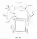 Fig. 06 - Radiological imaging device with improved functionality