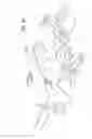 Fig. 09 - Radiological imaging device with improved functionality