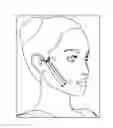 Fig. 01 - METHOD OF IMPROVING ELASTICITY OF TISSUE OF LIVING BODY