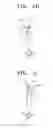 Fig. 04 - METHOD OF IMPROVING ELASTICITY OF TISSUE OF LIVING BODY
