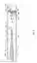 Fig. 09 - VARIABLE LENGTH VASCULAR OCCLUSION SYSTEM