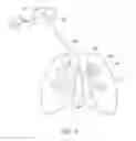 Fig. 03 - APPARATUSES, METHODS, AND SYSTEMS FOR THE IDENTIFICATION AND TREATMENT OF PULMONARY TISSUE