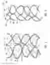 Fig. 02 - Time dependent physiologic tissue scaffold