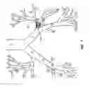 Fig. 08 - DEPLOYABLE STENTS AND RELATED DEVICES, SYSTEMS, AND METHODS