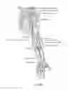 Fig. 26 - ENDOVASCULAR DEVICE FOR SENSING AND OR STIMULATING TISSUE