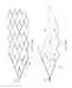 Fig. 55 - ENDOVASCULAR DEVICE FOR SENSING AND OR STIMULATING TISSUE