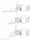 Fig. 63 - ENDOVASCULAR DEVICE FOR SENSING AND OR STIMULATING TISSUE