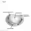 Fig. 02 - Atrio-ventricular valve stent with native leaflet grasping and holding mechanism