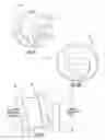 Fig. 06 - Expandable and adjustable lordosis interbody fusion system