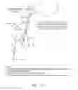 Fig. 25 - Hybrid terrain-adaptive lower-extremity systems