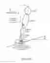 Fig. 58 - Hybrid terrain-adaptive lower-extremity systems