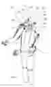 Fig. 04 - Head support systems and methods for use