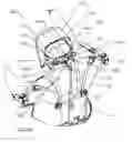 Fig. 29 - Head support systems and methods for use