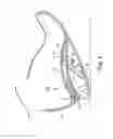 Fig. 03 - Energy return orthotic systems