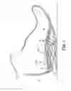 Fig. 04 - Energy return orthotic systems