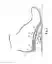 Fig. 05 - Energy return orthotic systems
