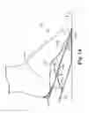 Fig. 15 - Energy return orthotic systems