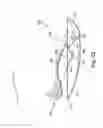 Fig. 22 - Energy return orthotic systems