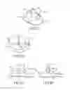 Fig. 08 - Ocular Irrigation Device and Method