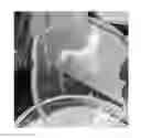 Fig. 01 - SKIN-PROTECTIVE HYDROGEL WOUND DRESSING
