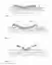 Fig. 02 - SKIN-PROTECTIVE HYDROGEL WOUND DRESSING