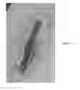 Fig. 04 - SKIN-PROTECTIVE HYDROGEL WOUND DRESSING