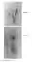 Fig. 05 - SKIN-PROTECTIVE HYDROGEL WOUND DRESSING