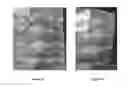 Fig. 12 - SKIN-PROTECTIVE HYDROGEL WOUND DRESSING