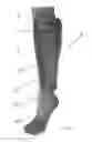 Fig. 02 - LACE TENSION-CONTROLLED COMPRESSION SOCK
