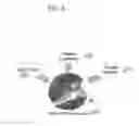 Fig. 07 - LACE TENSION-CONTROLLED COMPRESSION SOCK