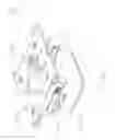 Fig. 10 - System, apparatus and method for patient positioning prior to, during and/or after medical procedures