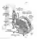 Fig. 01 - Adaptable robotic gait trainer